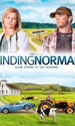 Finding Normal poster