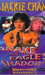Snake in the Eagle's Shadow poster