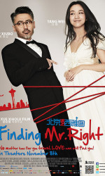 Finding Mr. Right poster