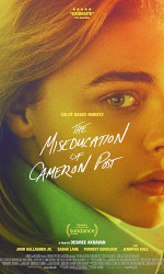 The Miseducation of Cameron Post (2018) poster