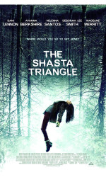 The Shasta Triangle (2019) poster