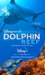 Dolphin Reef (2018) poster