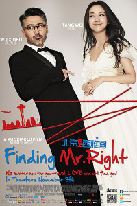 Finding Mr. Right (2013)
