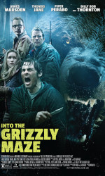Into the Grizzly Maze poster