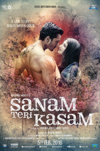 Sanam Teri Kasam (2016)