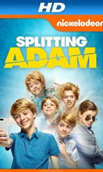 Splitting Adam poster