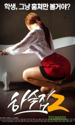 Boarding House 2 poster