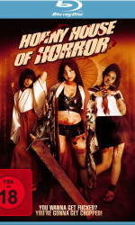 Horny House of Horror poster