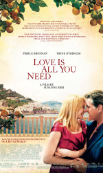 Love Is All You Need poster