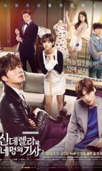 Cinderella and Four Knights poster