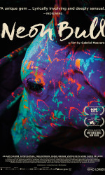 Neon Bull poster