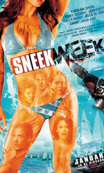Sneekweek poster