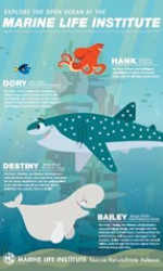 Finding Dory Marine Life Interviews poster