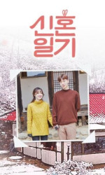 Newlyweds Diary poster