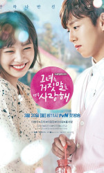 The Liar and His Lover poster