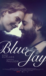 Blue Jay poster
