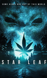 Star Leaf poster