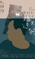 Kaili Blues poster