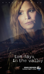 Ten Days in the Valley poster