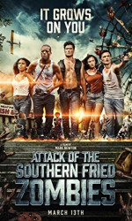 Attack of the Southern Fried Zombies poster