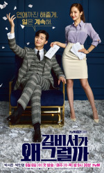 What's Wrong With Secretary Kim (2018) poster