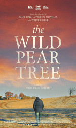 The Wild Pear Tree (2018) poster