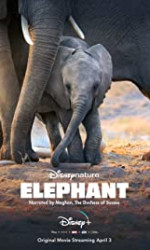 Elephant (2020) poster