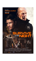 Survive the Night (2020) poster