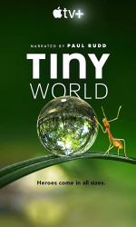 Tiny World (2020) poster