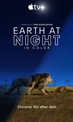 Earth at Night in Color (2020) poster