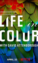 Life in Colour poster