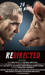 Redirected poster