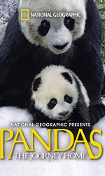 Pandas The Journey Home poster