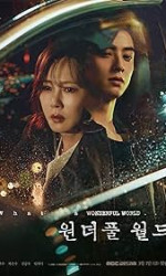 Wonderful World (2024) poster
