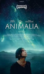 Animalia (2023) poster